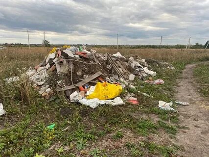 Курская область новости строкой