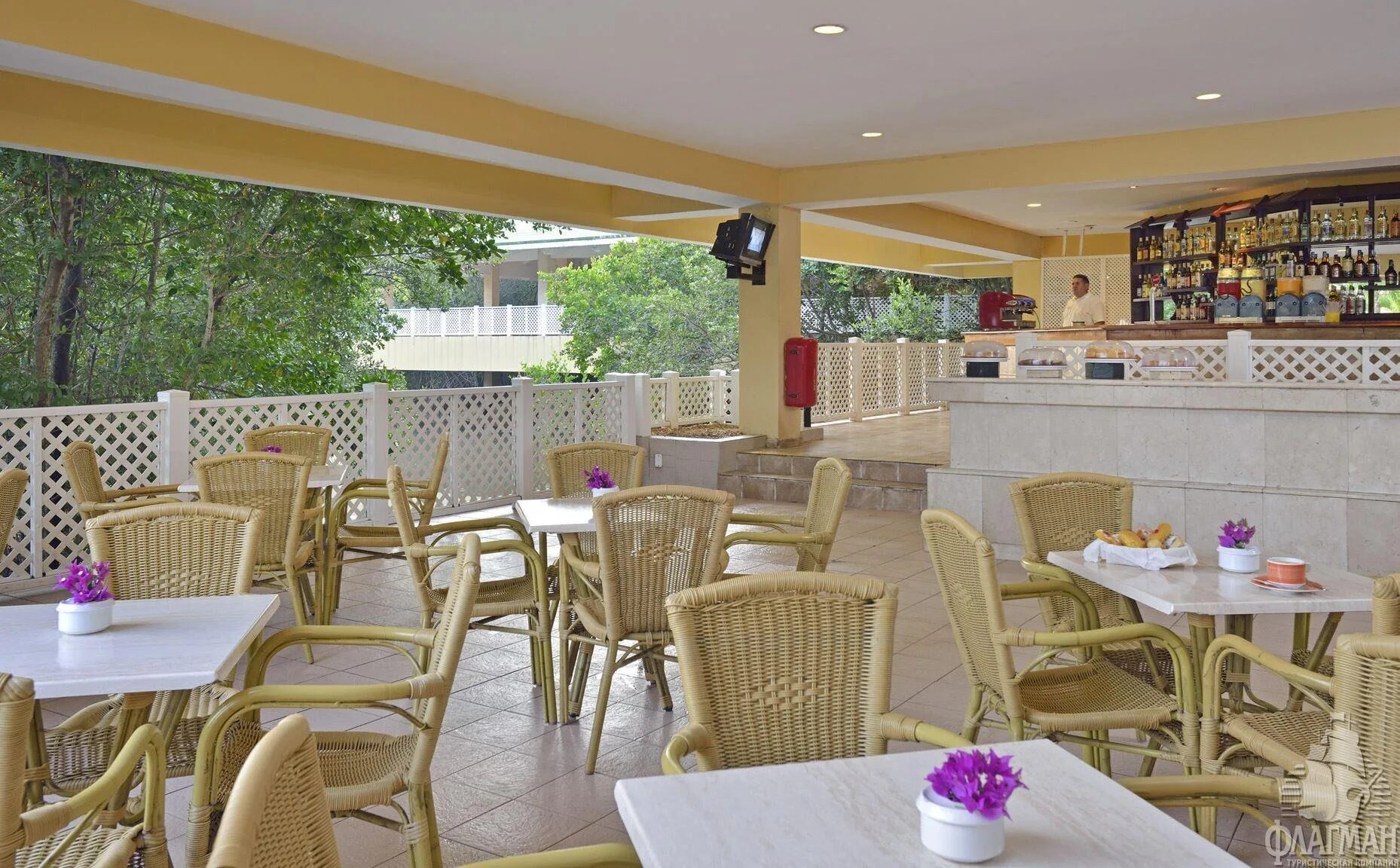 Отель Tryp Cayo Coco 4. Tryp Cayo Coco 4* Куба, Хардинес-дель-Рей. Tryp Cayo Coco 4 Кайо Коко. Tryp Cayo Coco 4* Кайо Коко, Хардинес-дель. Трип кайо коко