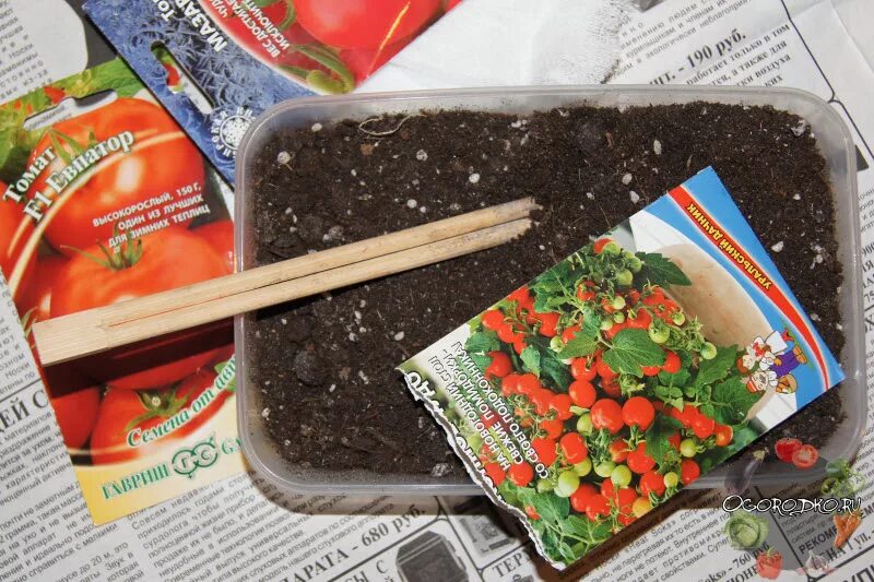 семена помидор на рассаду. посев семян помидоров на рассаду в марте. семена для рассады. семена помидор на рассаду. семена помидор на рассаду.