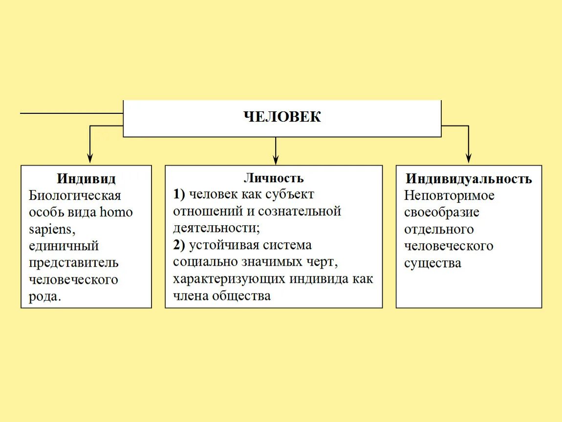 Индивид индивидуальность личность Обществознание 8 класс. Человек индивид личность таблица. Таблица индивид индивидуальность личность. Таблицы на тему индивид человек личность.