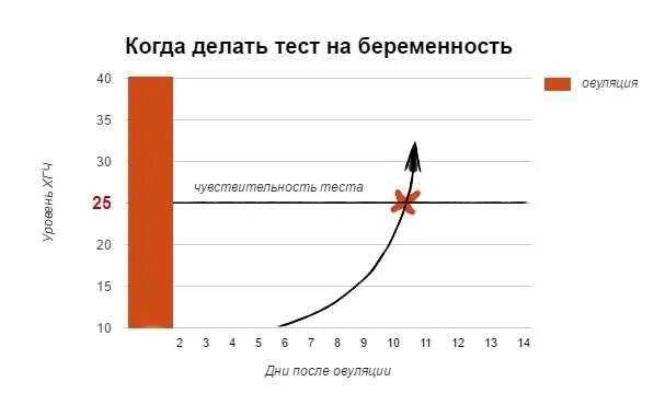 Когда считается доставленным в срок