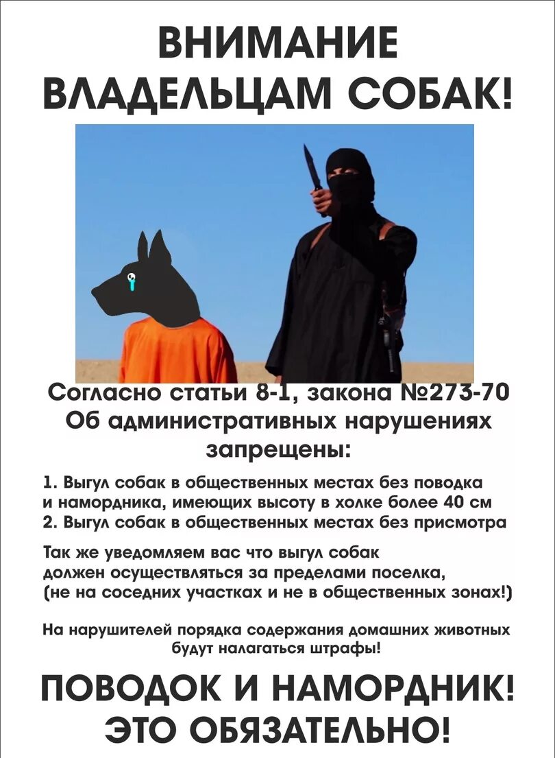 Выгул без поводка статья. Выгул собак без намордника. Штраф за собаку без намордника. Штраф за выгул собак без намордника и поводка. Выгул собак в наморднике.