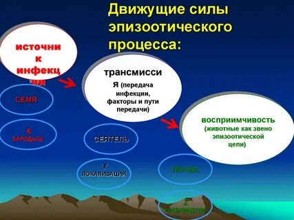 Источник движущей силы