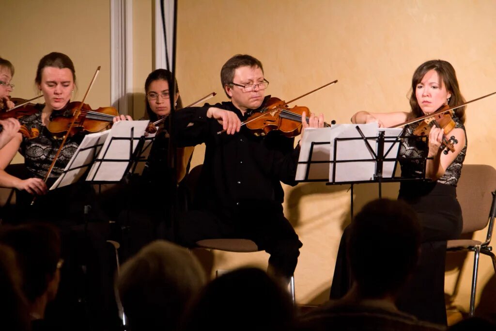 Полякова наталья консерватория нижний новгород. Вятский камерный оркестр. Камерный ансамбль солисты нижнего новгорода википедия. Консерватория глинки нижний новгород. Камерный оркестр нижнего новгорода.