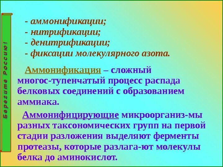 Аммонификация. Аммонификация нитрификация денитрификация. Процесс аммонификации. Азотфиксация нитрификация денитрификация аммонификация. Аммонификация белков микроорганизмами.