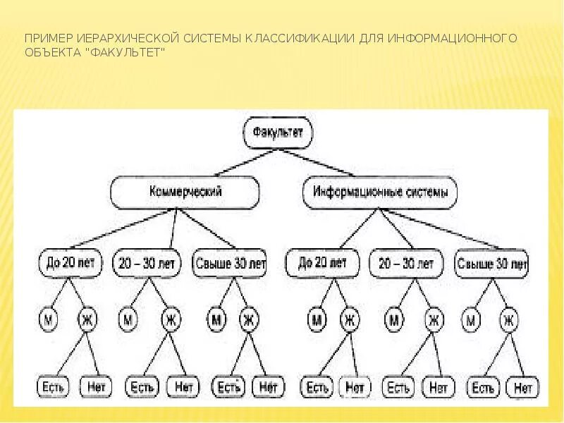 Приведите пример любой системы. Система иерархии. иерархия примеры. иерархического метода классификации. иерархическая структура классификации.