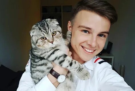 Кот блоггер ютуб