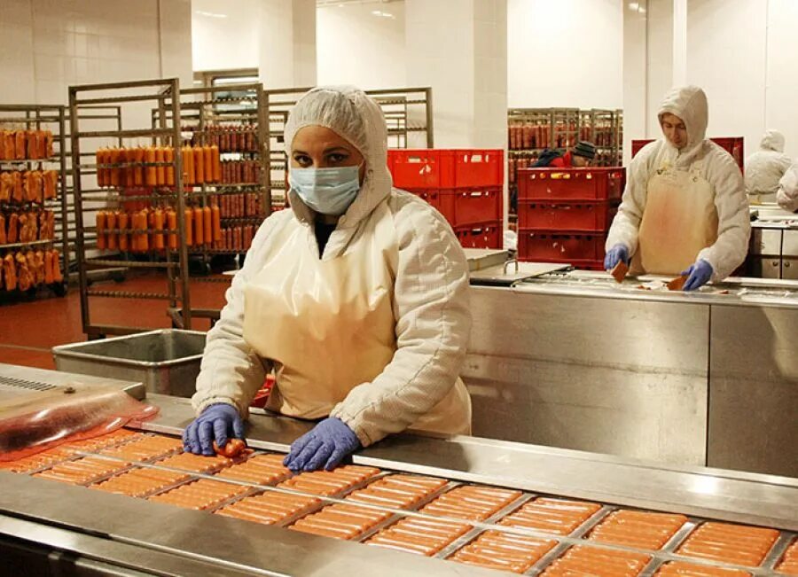 ромкор еманжелинск. вакансии ромкор еманжелинск. вакансии ромкор еманжелинск. свинокомплекс ромкор. ромкор мясокомбинат официальный сайт.