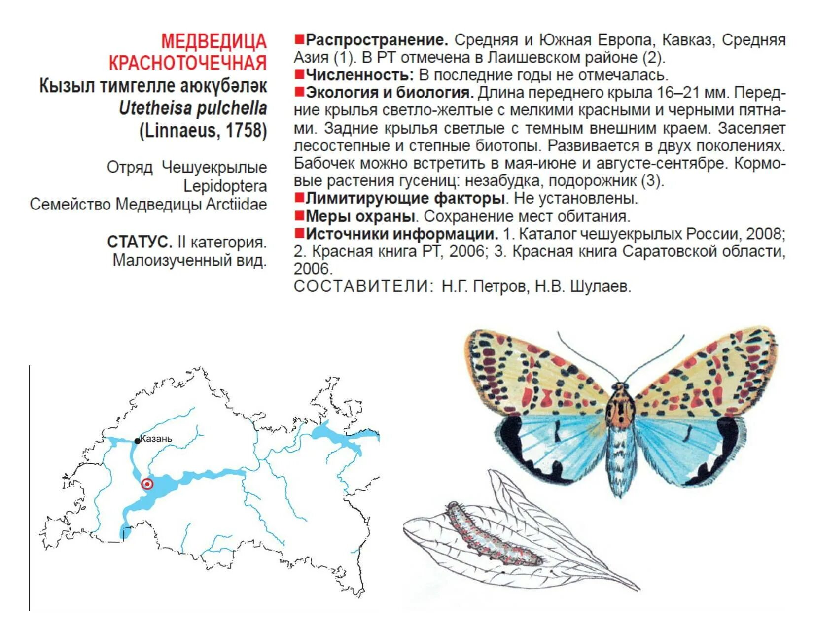 Медведица Менетрие красная книга. Медведица Менетрие бабочка. Медведица красноточечная. Медведица красноточечная бабочка.