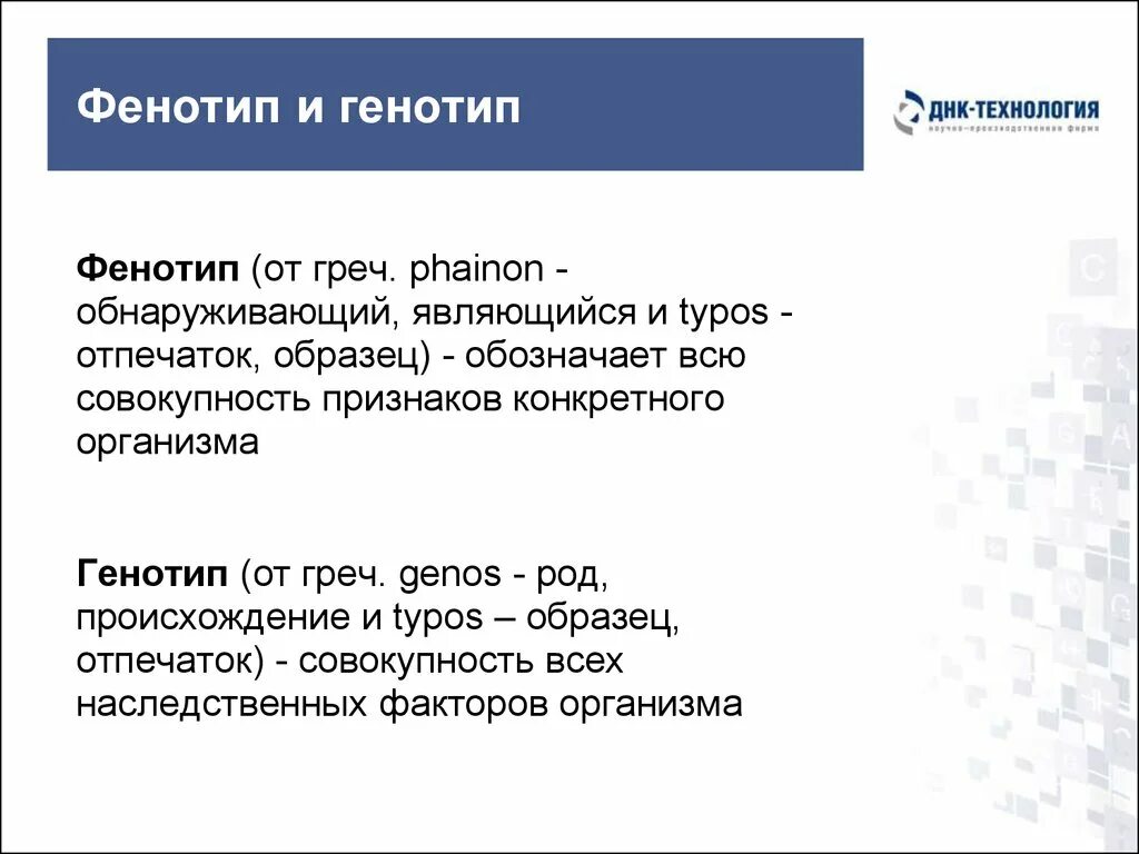 Генотип характеризует. Фенотип человека примеры. Генотип и фенотип. Генотип фенотип и биотип взаимосвязь. Понятие о генотипе и фенотипе.