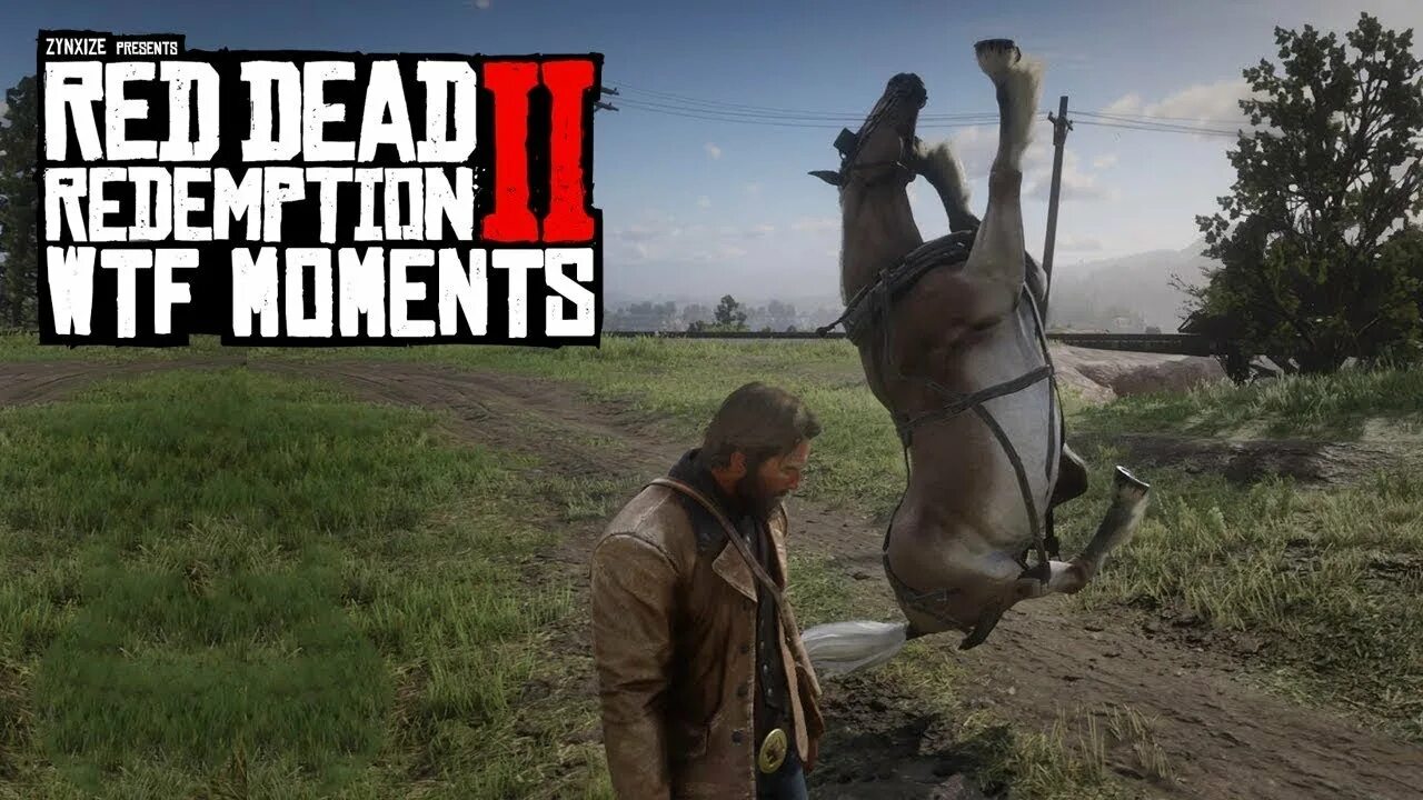 РДР 2 баги. Red Dead Redemption 2 мемы. Red Dead Redemption баги. Фрэнсис РДР 2. Рдр 2 гол