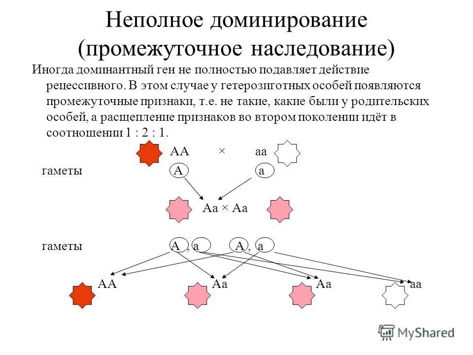 Группа крови признак рецессивный доминантный. Промежуточный Тип наследования. Промежуточный признак неполное доминирование. Промежуточный характер наследования признаков. Промежуточное проявление признака это.