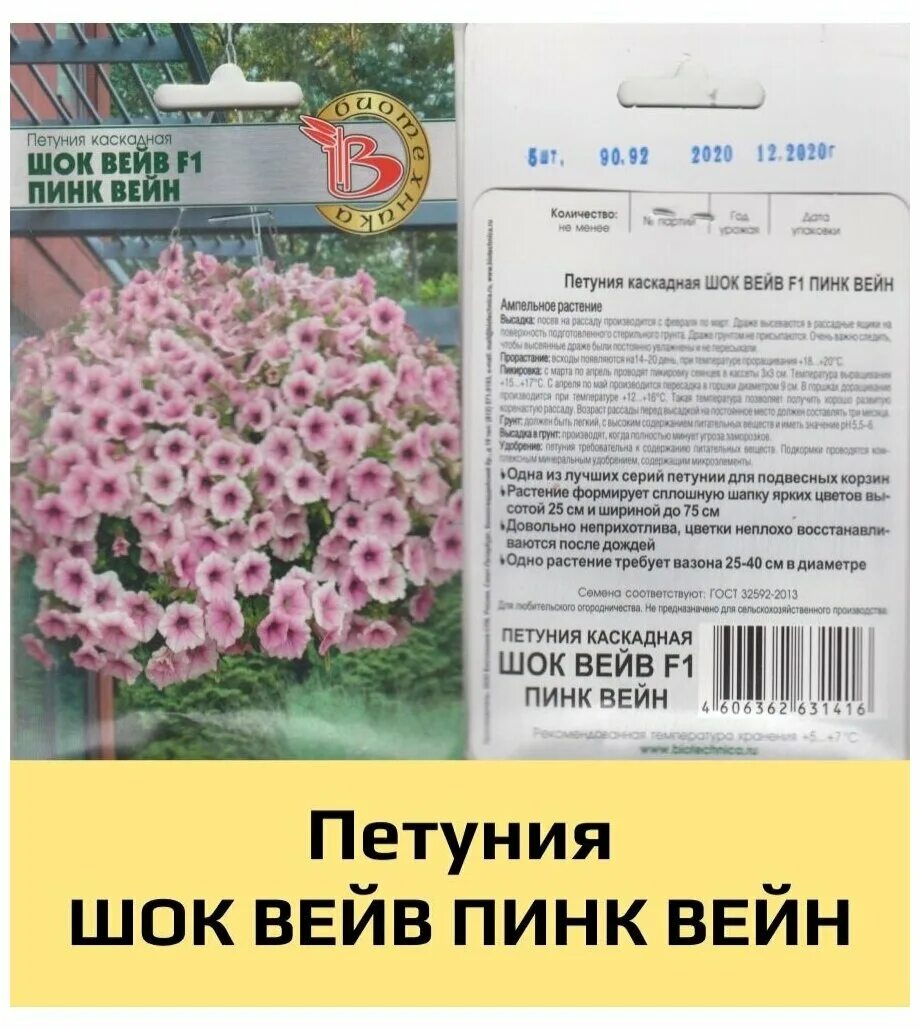 петуния супертуния плам вейн. петуния шок вейв пинк вейн. шок вейв pink vein. петуния пинк вейн. петуния шок вейв пинк вейн.