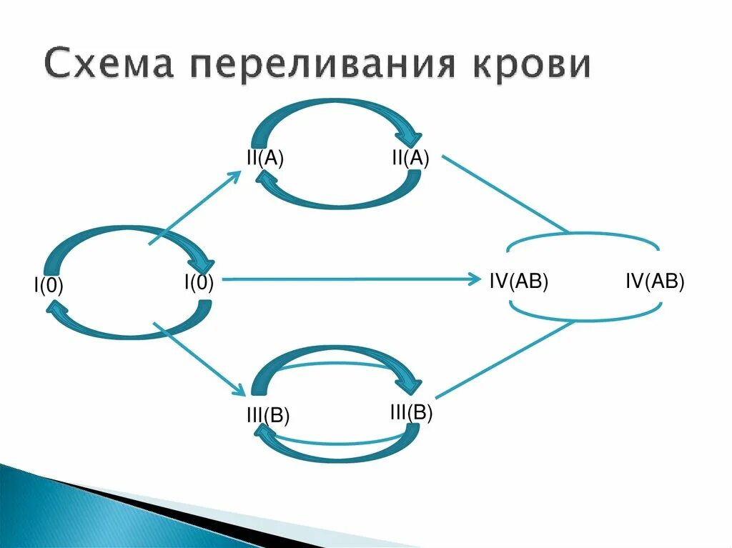 Схема переливания крови 8 класс. Схема переливания групп крови. Схема допустимого переливания крови. Общая схема трансфузий.