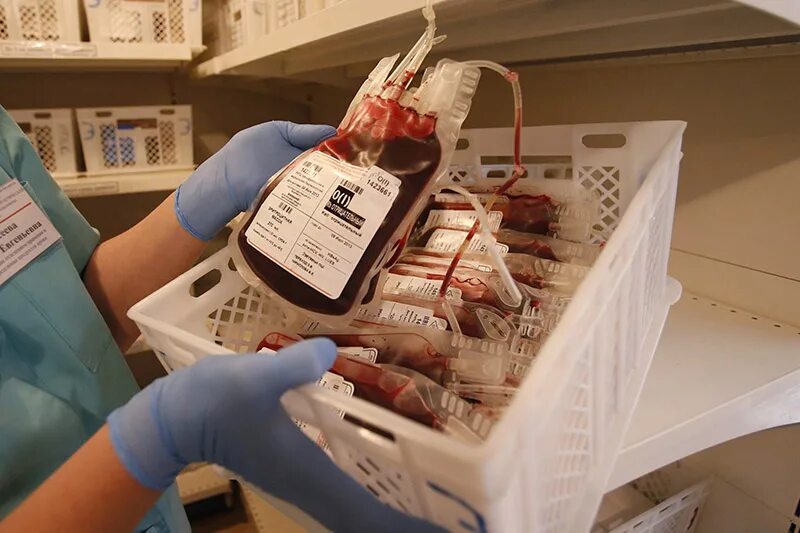 Трансфузиолог это. Трансфузиолог это. Трансфузиолог это. Искусственная кровь в медицине. Непрямое переливание крови.