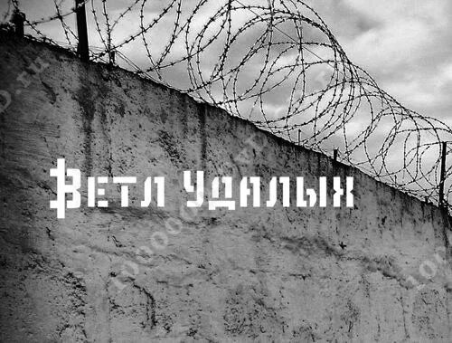 сотни дорог гио текст. сотни дорог гио текст. гио пика. тексты песен. слова песни.