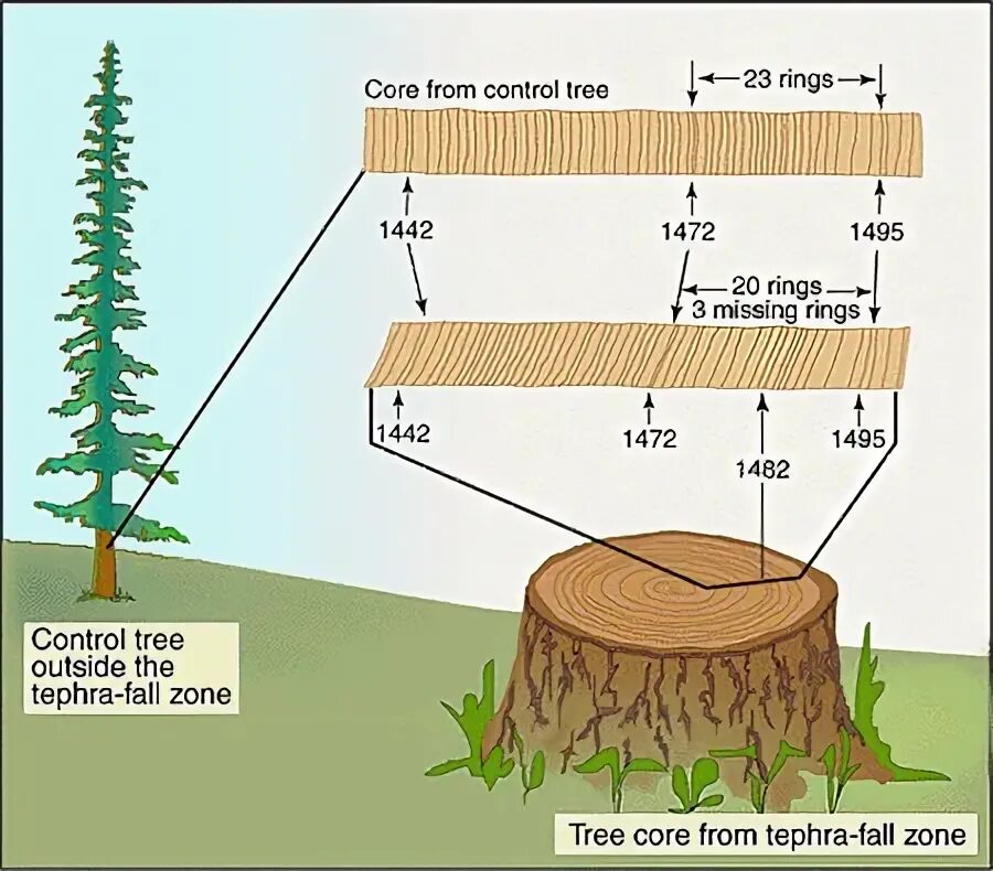 Tree control
