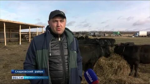 Фермер регион
