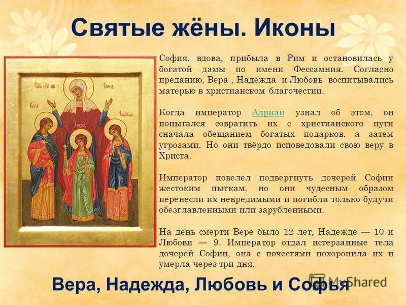 Софии пришло сообщение. Софии пришло сообщение
