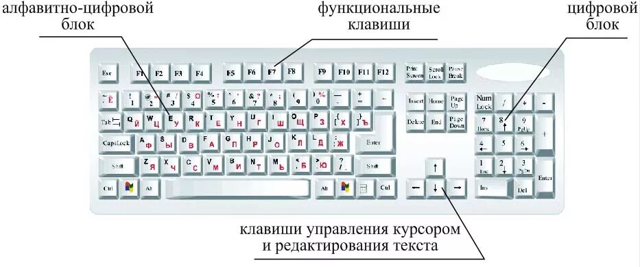 Какая клавиша относится к клавишам управления курсором. Алфавитно цифровой блок на клавиатуре. Строение клавиши клавиатуры. Устройство клавиатуры Назначение клавиш. Строение клавиатуры.