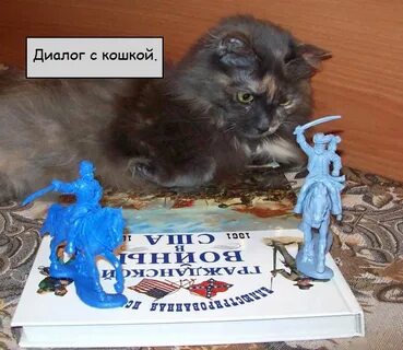 Диалоги кошек