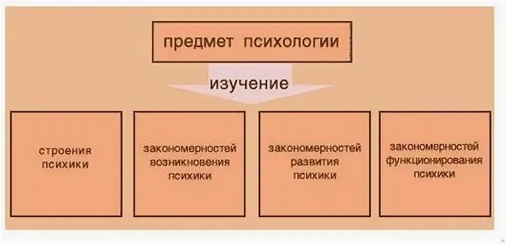 Предметом психологии развития является ответ