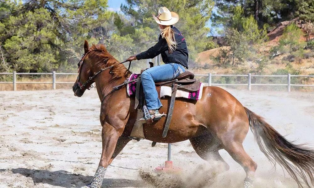 Horse riding is. Верховая езда на лошади. Наездница. Наездник на лошади. Езда на лошади.