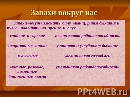 Запахи вокруг