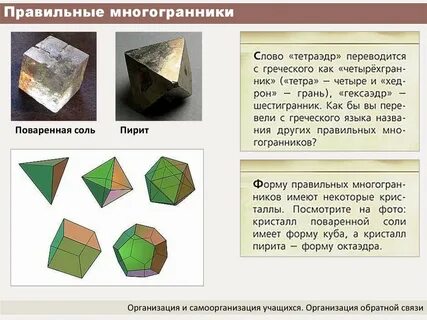Понятие правильного многогранника