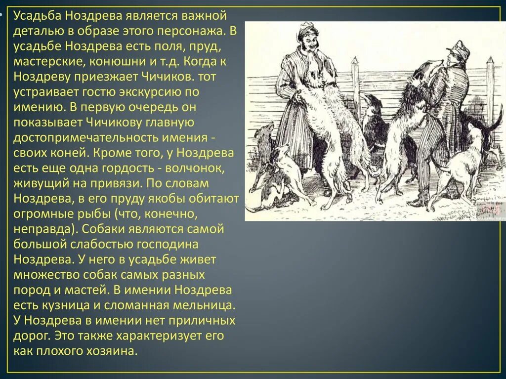 Картинки ОПИСАНИЕ ПОМЕЩИКА НОЗДРЕВА