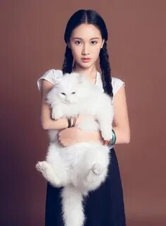 Cheng yan