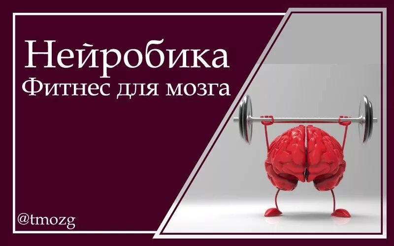 Повторить мозг. Нейробика упражнения. Занятия для мозга нейробика. Нейробические упражнения для мозга. Нейробика упражнения для мозга для дошкольников.