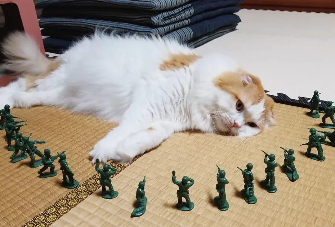 Ну почему вы такие тупые. Тупые мемы. Вы тупые как стол. Тупые мемы. Вы тупые как стол.