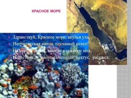 Сколько солей в красном море