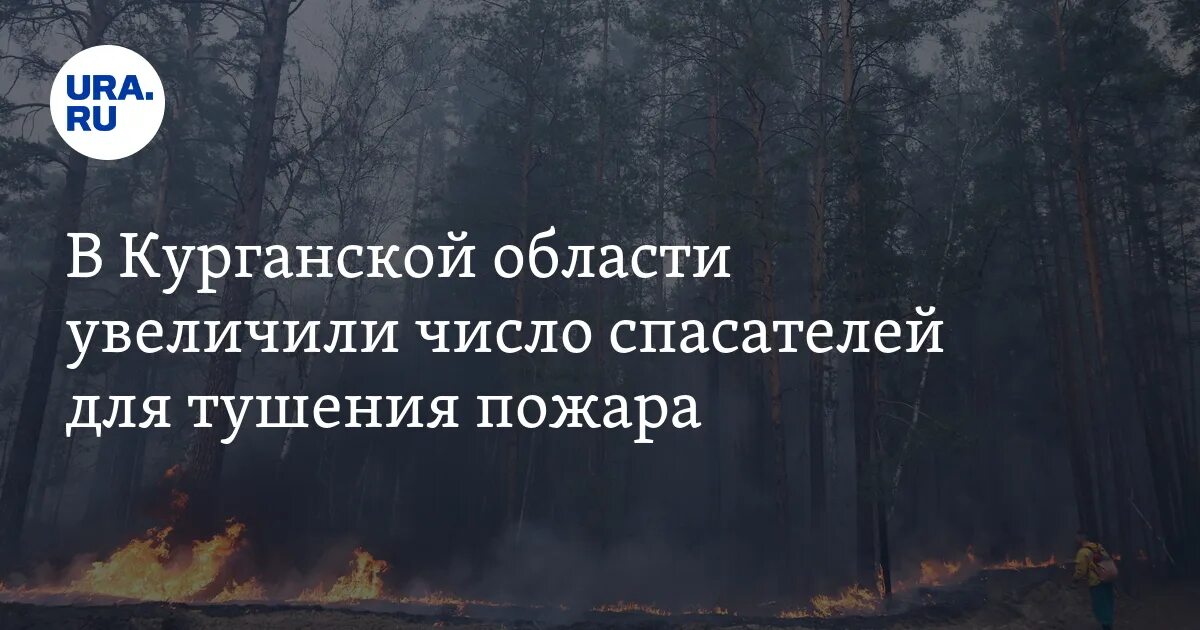 Погода брылино каргапольский курганская область. Погода сосновка курганской каргапольского. Деревня луговая. Погода сосновка курганской каргапольского. Житниково курганская область церковь архангела михаила.