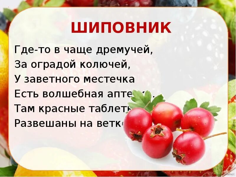 Загадка цвет белый а ягода. Загадки про ягоды. Загадка отгадка ягода. Загадки про ягоды для детей. Ягодные загадки для детей.