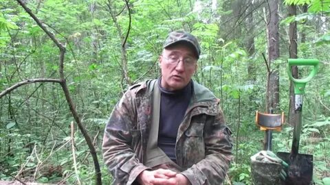 Гельмут вайссвальд