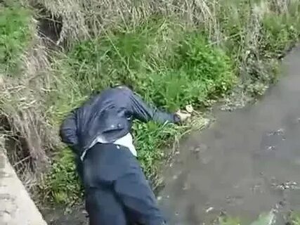 Мужик женщина в кустах