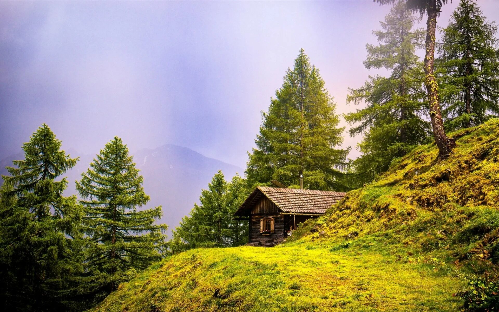 Домик в лесу летом. Красивый домик в лесу. Одинокий дом в лесу. Одинокий домик. Уютный домик в горах.