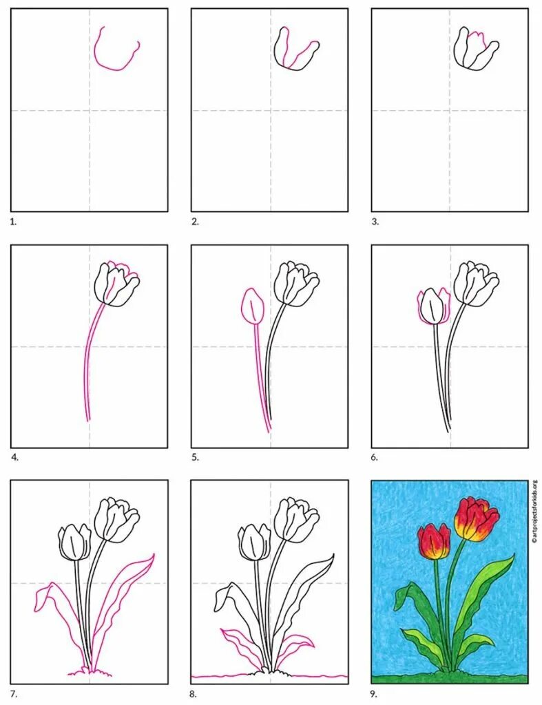 Как нарисовать тюльпаны карандашом поэтапно. Поэтапность рисования тюльпан. Рисование цветов для детей. Тюльпан рисунок поэтапно. Рисование тюльпана пошагово.