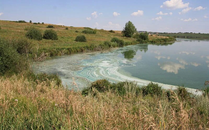 Пруд Масловка Мордовия. Кадышевский пруд Мордовия. Махровский пруд Саранск. Висловский пруд Атемар. Пруды мордовии