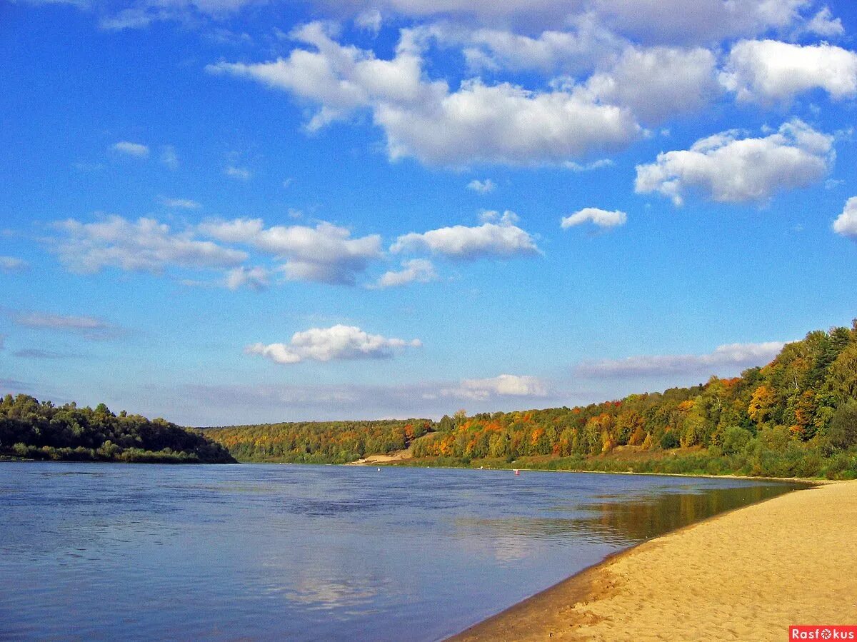 Река ока луховицкий район. Каменный берег оки. Берег реки ока. Павлово высокий берег оки. Река ока тула пляж.