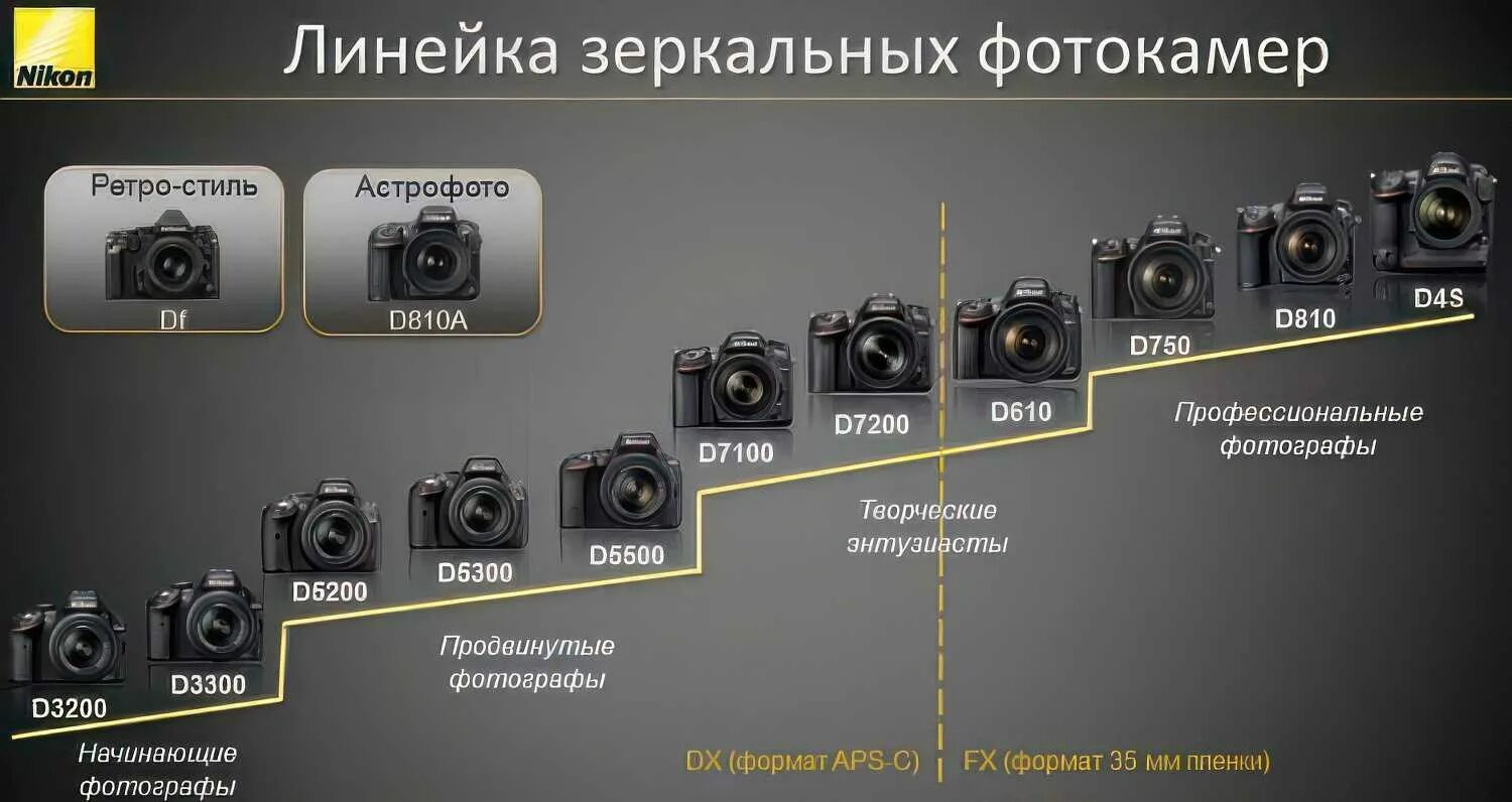 Полнокадровые фотоаппараты Nikon линейка моделей. Линейка зеркальных фотоаппаратов Nikon. Линейка фотоаппаратов Nikon по годам. Линейка зеркальных фотокамер Canon. Тип камеры 3 камеры