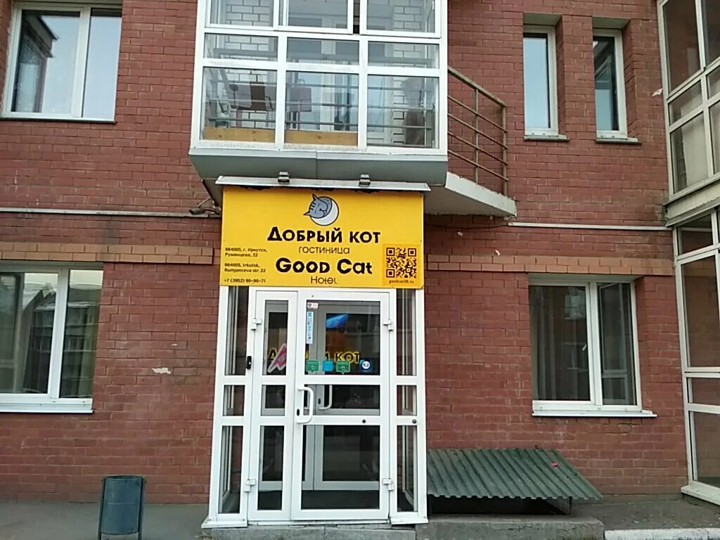 Добрый кот гостиница иркутск. Бангладеш оркестр. Добрый кот москва. Добрый кот москва. Добрая черная кошка.