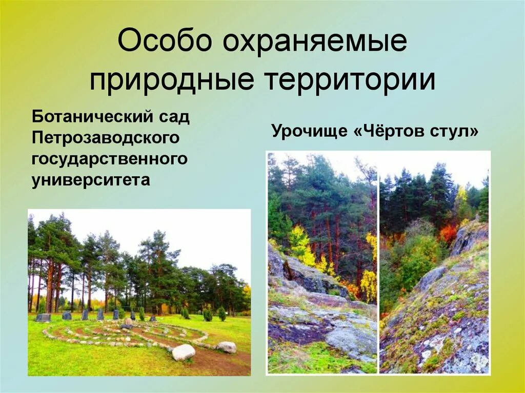 Ботанический сад мгу им. Ботанический сад лобачевского нижний новгород. Дендрологические парки и ботанические сады россии. Ботанический сад тольятти. Оопт ботанический сад саратов.