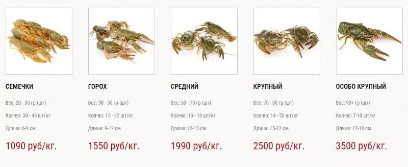 Раки до 20 гр.
