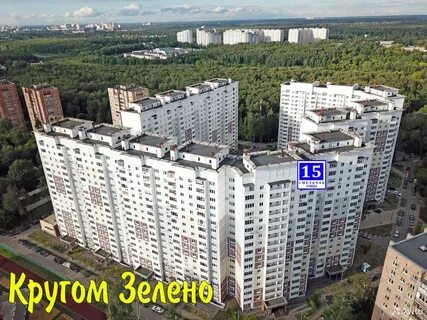 Кучино смельчак 15