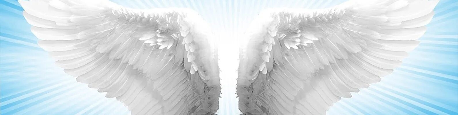 Два крыла роли. Крылья ангела в небе. Крылья ангела в небесах. Белые Крылья на фоне неба. Белые Крылья в небе.