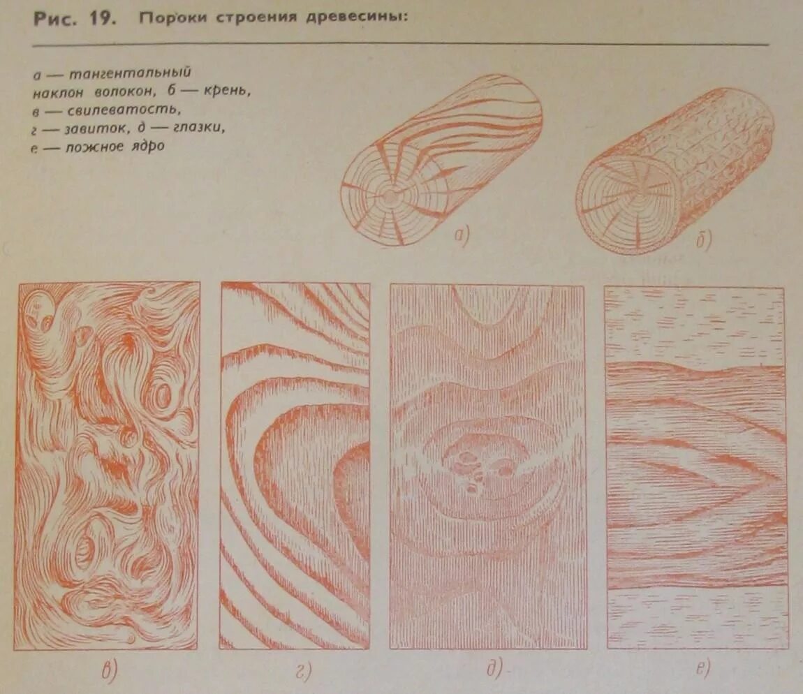 Пороки формы ствола древесины. Пороки древесины свилеватость. Пороки строения древесины наклон волокон. Пороки строения древесины косослой. Волокна древесины рисунок.