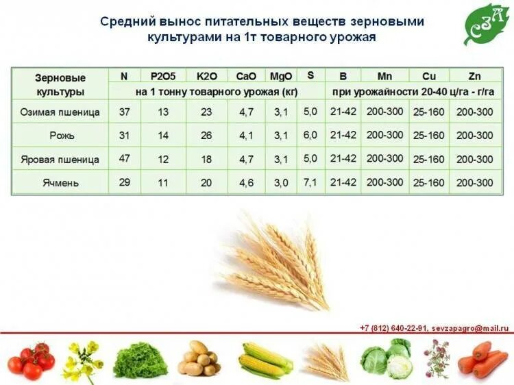 Вынос питательных веществ сельскохозяйственными культурами. Вынос питательных веществ с урожаем картофеля. Вынос питательных элементов картофелем. Вынос питательных веществ озимой пшеницей. Элемент вынести